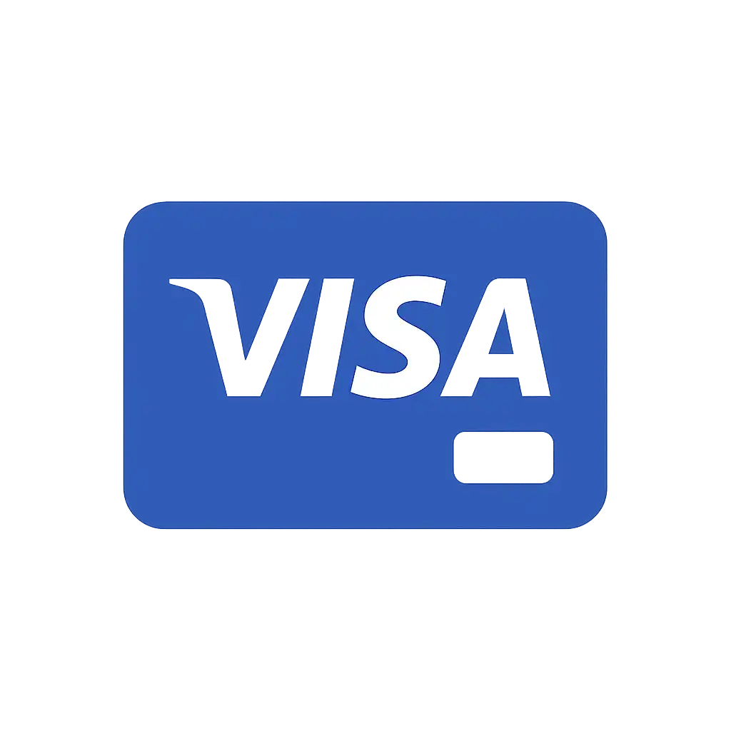 Visa payment icon